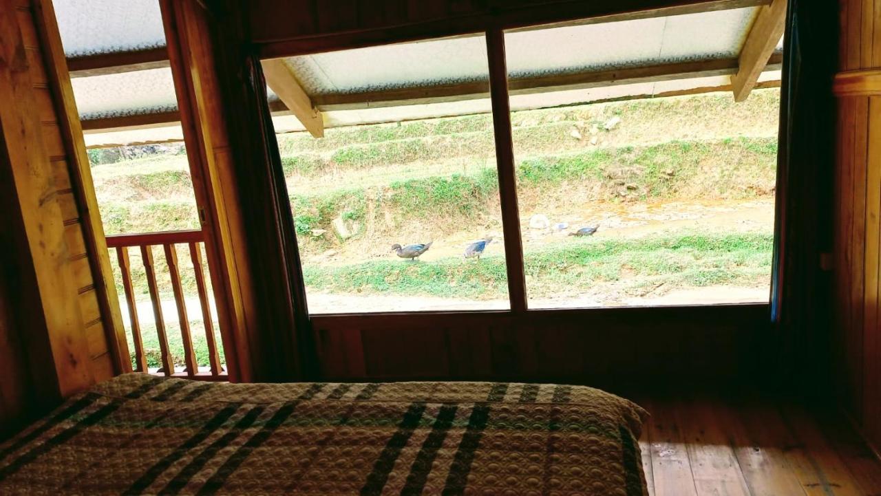 סא פה Madame View Homestay מראה חיצוני תמונה
